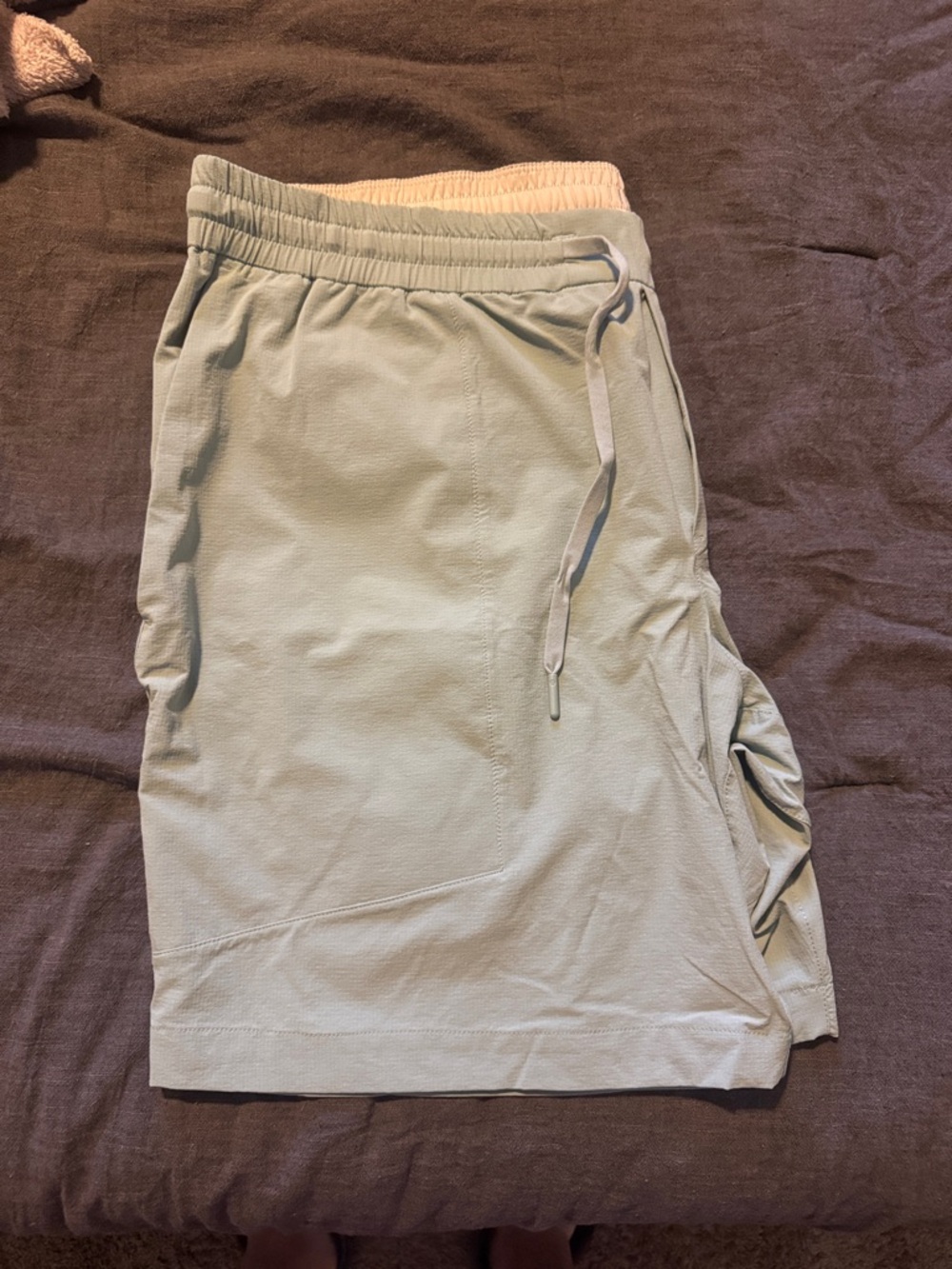 Men's Casual Drawstring Shorts - Light Sage